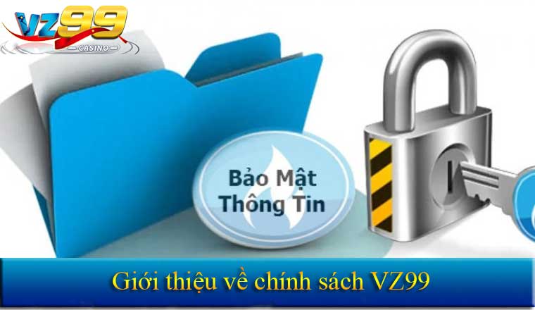 Giới thiệu chính sách bảo mật Vz99