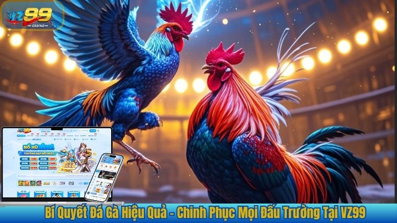 Bí Quyết Đá Gà Hiệu Quả - Chinh Phục Mọi Đấu Trường Tại VZ99 1 Bí Quyết Đá Gà Hiệu Quả - Chinh Phục Mọi Đấu Trường Tại VZ99