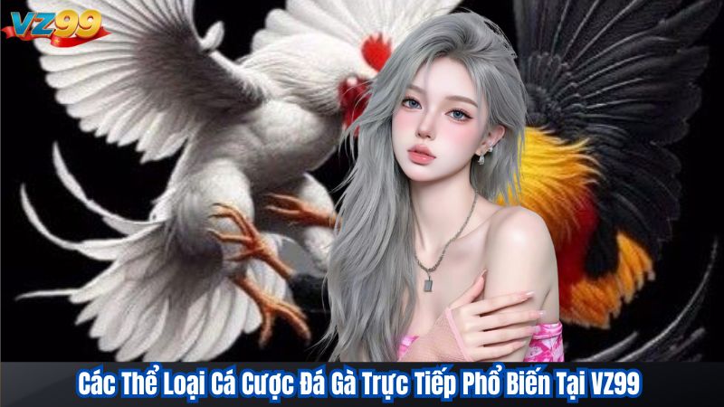 Cá Cược Đá Gà Trực Tiếp – Trải Nghiệm Chơi Thú Vị Tại VZ99 3 Các Thể Loại Cá Cược Đá Gà Trực Tiếp Phổ Biến Tại VZ99