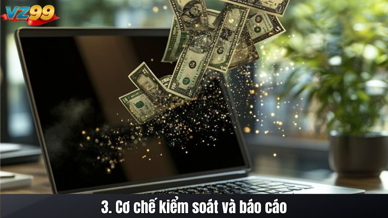 3. Cơ chế kiểm soát và báo cáo